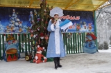 В выходных новогодняя ёлка открылась в парке Матросова
